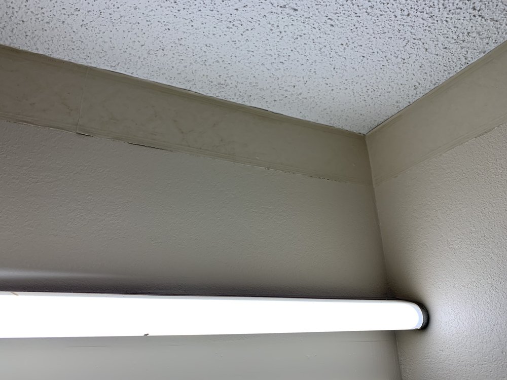 RED ROOF INN MONTGOMERY - MIDTOWN - 67 Photos & 43 Reviews - 2625 Zelda