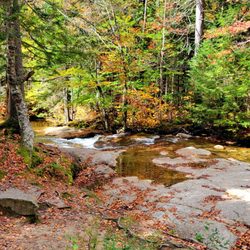 The Basin