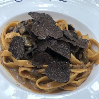 Casa Tua - Fettucine with Wild Mixed Mushrooms, Black Truffle and Parmesan Cheese Fonduta - Italian Near Me - Miami Beach, Florida Casa Tua - Fettucine with Wild Mixed Mushrooms, Black Truffle and Parmesan Cheese Fonduta - Italian Near Me - Miami Beach, Florida