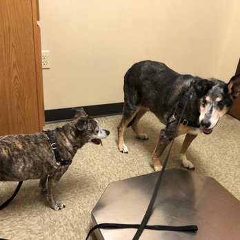 parker bird and animal clinic