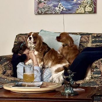 Amazing Grace Pet Care - Dog Walkers Near Me - Youngsville, North Carolina Amazing Grace Pet Care - Dog Walkers Near Me - Youngsville, North Carolina