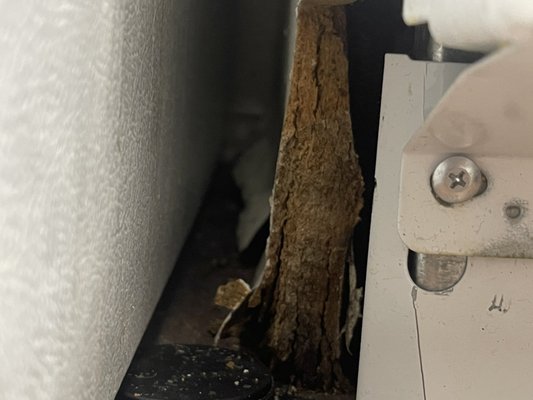 Grand Venetian by null