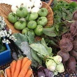 Giving Tree Farm
