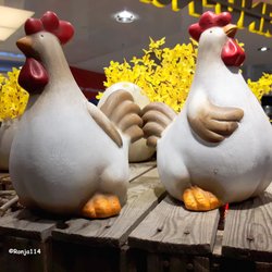 Nanu Nana - Dicke Hühner ... :) /  Big chickens ... :)