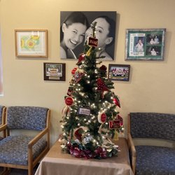 Island In the Hills Dental Office - Lobby Christmas tree