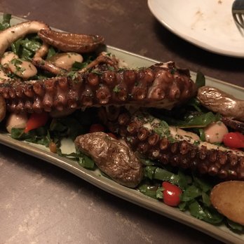 Kefi - Octopus! - Mediterranean Near Me - Knoxville, Tennessee Kefi - Octopus! - Mediterranean Near Me - Knoxville, Tennessee