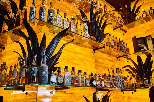 solita Tacos & Margaritas by null