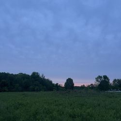 Eagle Creek Nature Preserve - Sunset on the walk back