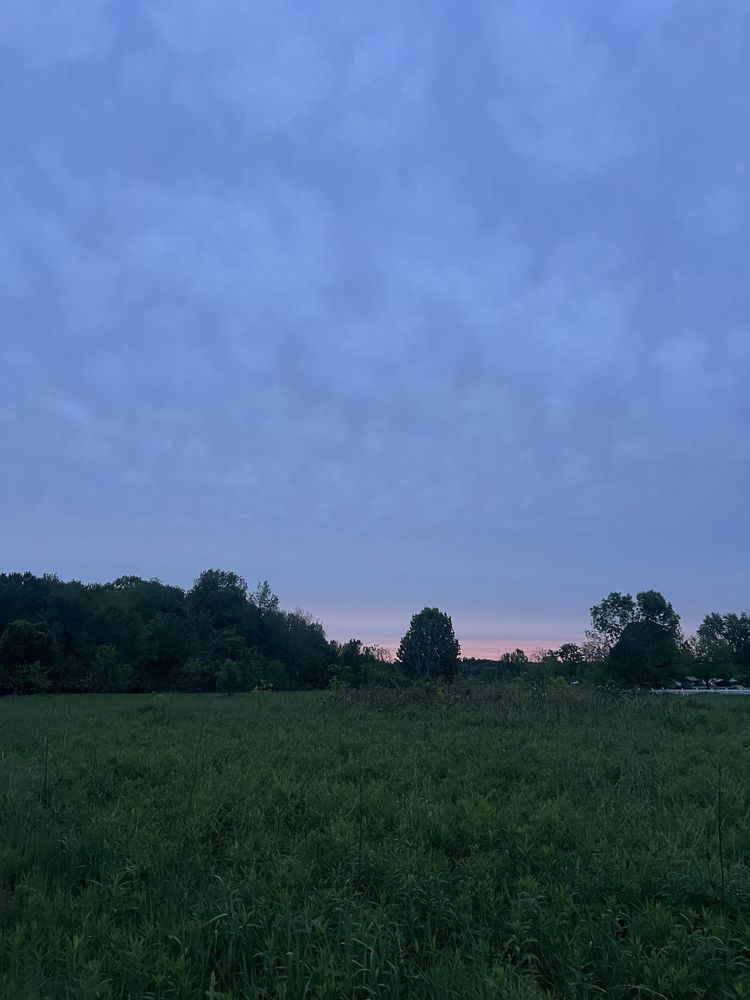 Social spots from Eagle Creek Nature Preserve
