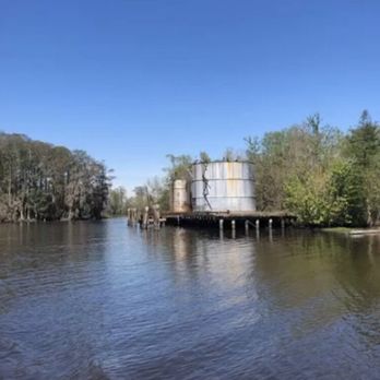 Cajun Critters Swamp Tour - Tours Near Me - Westwego, Louisiana