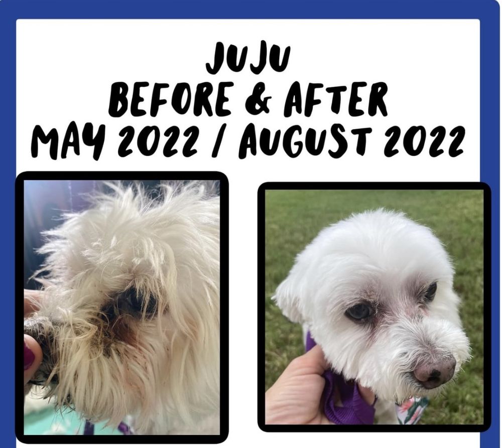 MOBILE WELLNESS Updated August 2024 22 Photos Newport News