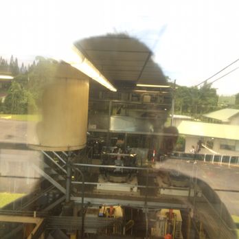 Mauna Loa Macadamia Nut - Another photo taken of the production factory. - Chocolatiers & Shops Near Me - Keaau, Hawaii