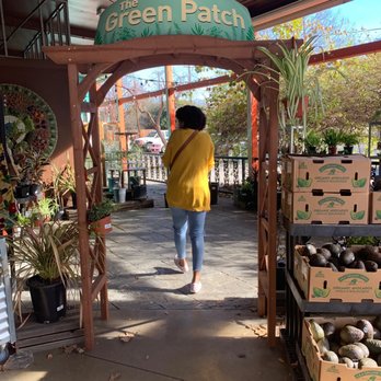 Davis Food Co-op - Green patch - Grocery Near Me - Davis, California Davis Food Co-op - Green patch - Grocery Near Me - Davis, California