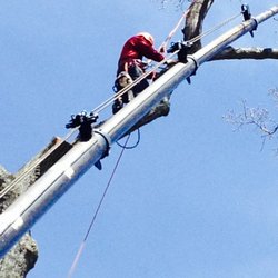 Nick's Tree Service
