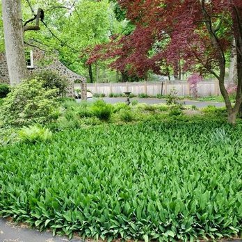 W.D.B. Landscaping - Landscape Architects or Designers Near Me - Morrisville, Pennsylvania W.D.B. Landscaping - Landscape Architects or Designers Near Me - Morrisville, Pennsylvania
