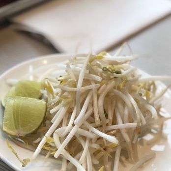 The Pho Restaurant - Sprouts. Where are the leafy greens? - Vietnamese Near Me - Markham, Ontario The Pho Restaurant - Sprouts. Where are the leafy greens? - Vietnamese Near Me - Markham, Ontario
