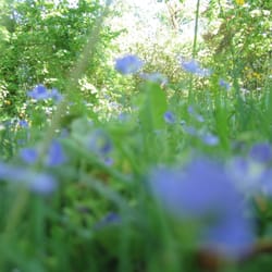 Schlosspark