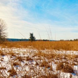 Gwynedd Preserve