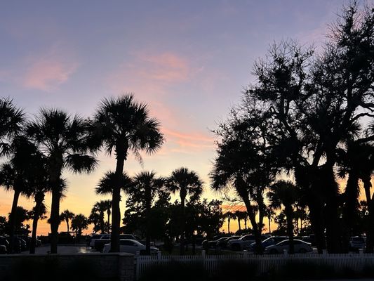 Guppy's On the Beach by null