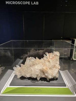 Houston Museum of Natural Science at Sugar Land by null