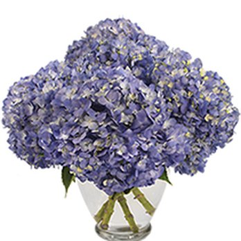 Florals In Time - Florists Near Me - Gap, Pennsylvania Florals In Time - Florists Near Me - Gap, Pennsylvania