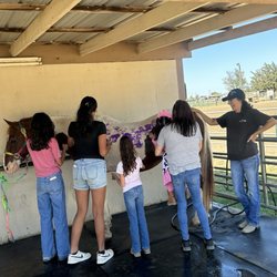 Prancing Princess Pony - Finger painting for the kids !