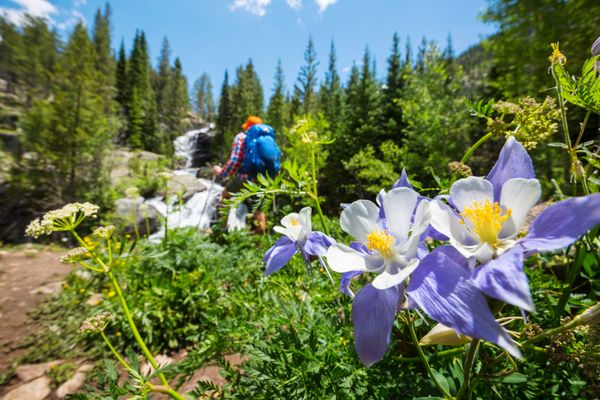 Colorado Adventure Guides by null
