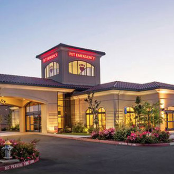 Pasion Architecture - Our architecture firm provided the colored site plan, traffic flow plan, and environmental systems plan for the Mueller Pet Medical Center - Architects Near Me - Carmichael, California Pasion Architecture - Our architecture firm provided the colored site plan, traffic flow plan, and environmental systems plan for the Mueller Pet Medical Center - Architects Near Me - Carmichael, California