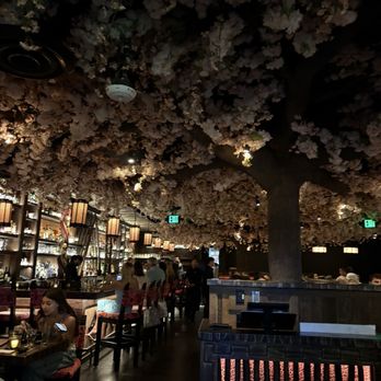 Roka Hula - Tiki Bars Near Me - Delray Beach, Florida