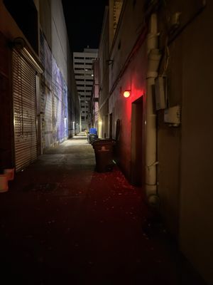 Peter Kern Library by null