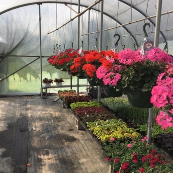 Kerr's Kornstand - the inside of a greenhouse - Farmers Market Near Me - Pennington, New Jersey Kerr's Kornstand - the inside of a greenhouse - Farmers Market Near Me - Pennington, New Jersey