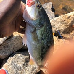 Lakeshore Fishing