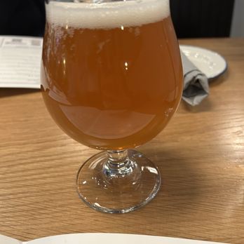 Tangled Roots Craft Beer & Kitchen - 16 oz beer - Brewpubs Near Me - Vernon Hills, Illinois Tangled Roots Craft Beer & Kitchen - 16 oz beer - Brewpubs Near Me - Vernon Hills, Illinois