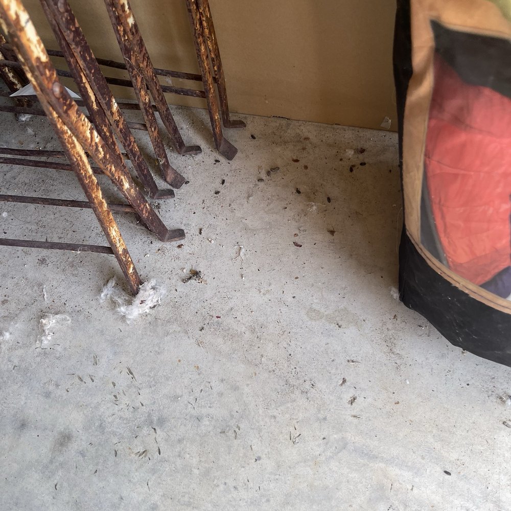 Bee Safe Storage - Self Storage Near Me - Pflugerville, Texas