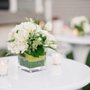 Photo of Gabi Events
