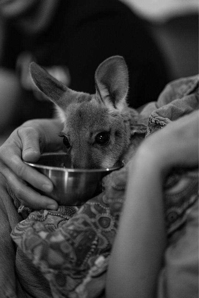 Social spots from Blue Hills Ranch