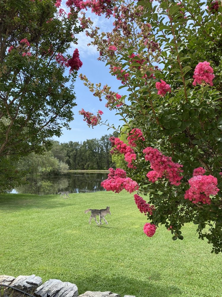 IRONSTONE VINEYARDS 489 Photos & 242 Reviews 1894 Six Mile Rd