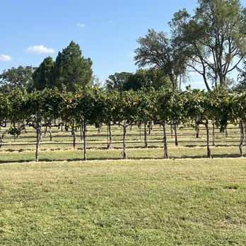 Grape Creek Vineyard - Tram ride - Wineries Near Me - Fredericksburg, Texas