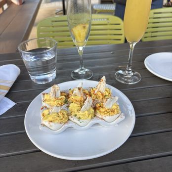 Matt's Fish Camp Lewes - DEVILED EGGS - Seafood Near Me - Lewes, Delaware Matt's Fish Camp Lewes - DEVILED EGGS - Seafood Near Me - Lewes, Delaware