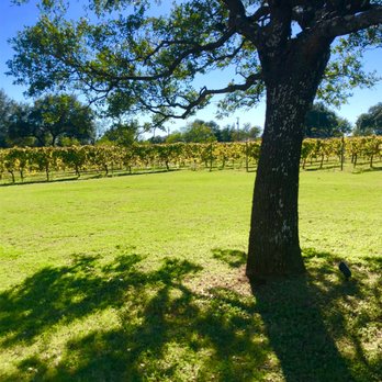 Stone House Vineyard - Wineries Near Me - Spicewood, Texas