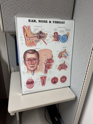 Brooke Army Medical Center (BAMC) by null