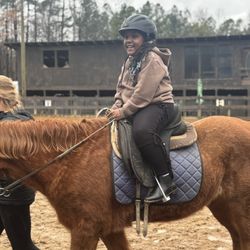 Ellenwood Equestrian Center - English Style Horseback riding