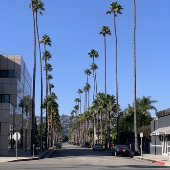 Palm Beach Tan - The nearby Palm Trees of Beverly Hills - Skin Care Near Me - Beverly Hills, California