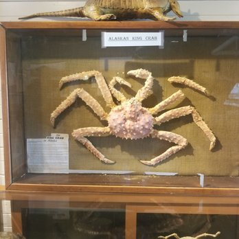 Port Gamble Townsite - Art Galleries Near Me - Port Gamble, Washington
