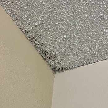 Baymont by Wyndham McDonough - Mold on ceiling - Hotels Near Me - McDonough, Georgia Baymont by Wyndham McDonough - Mold on ceiling - Hotels Near Me - McDonough, Georgia