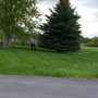 Photo of CLR Lawn Care
