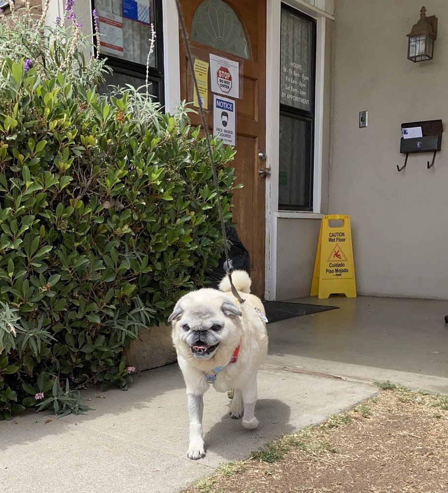 VCA CARPINTERIA VETERINARY HOSPITAL Updated September 2024 10