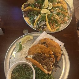 Birria tacos & taco sampler