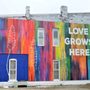 Photo of Love Grows Here