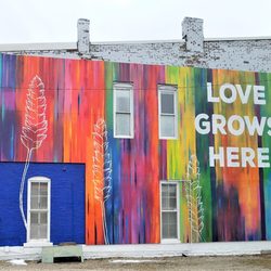 Love Grows Here - Love Grows Here by Zane Statz (2018)